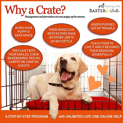 Why a crate